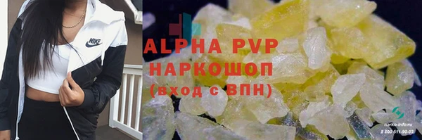 ешки Вуктыл