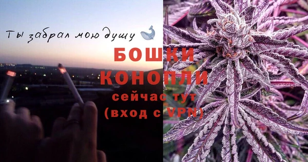 Альфа ПВП Няндома