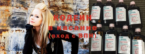 Альфа ПВП Няндома