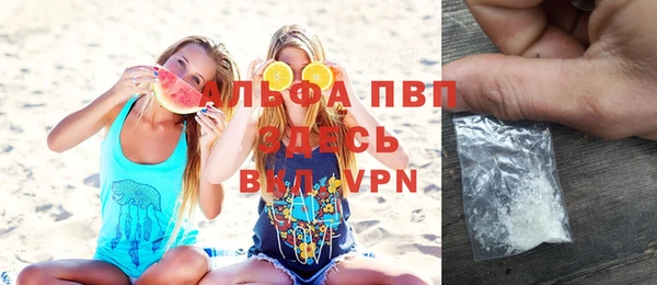 Альфа ПВП Няндома