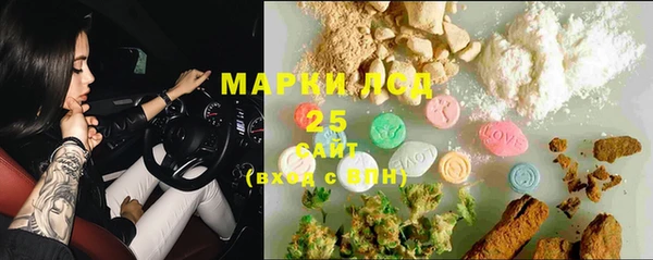 Альфа ПВП Няндома