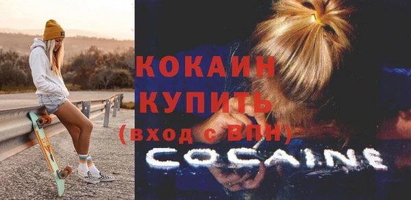 Альфа ПВП Няндома